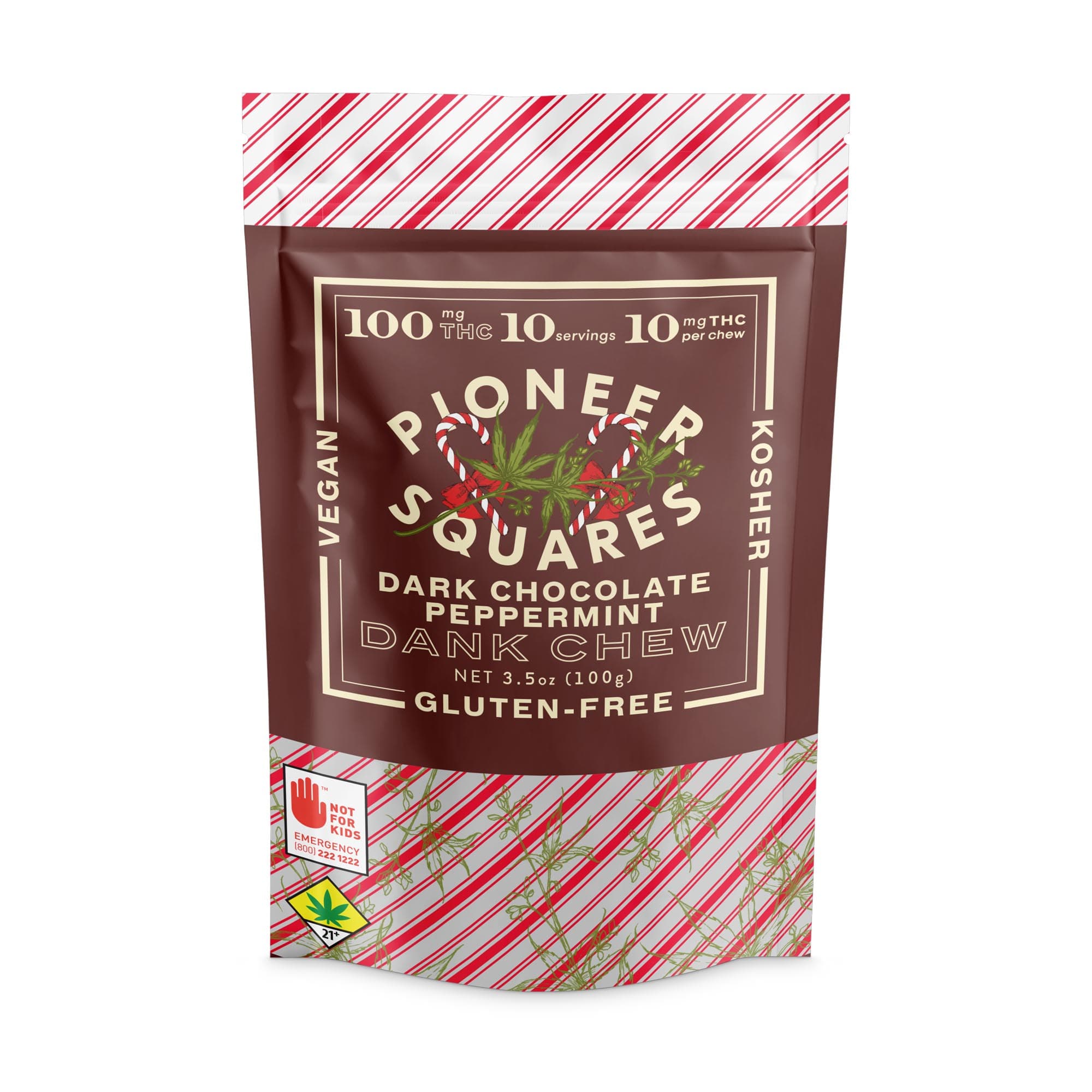 Dark Chocolate Peppermint 1:1 Squares · 10 Pack
